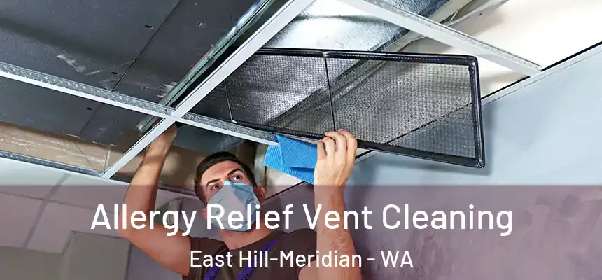 Allergy Relief Vent Cleaning East Hill-Meridian - WA