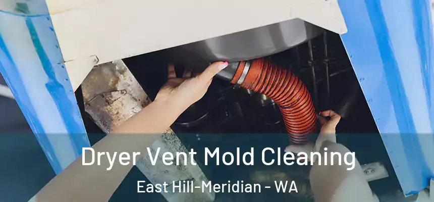 Dryer Vent Mold Cleaning East Hill-Meridian - WA
