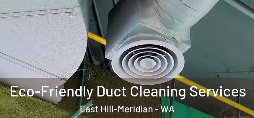 Eco-Friendly Duct Cleaning Services East Hill-Meridian - WA