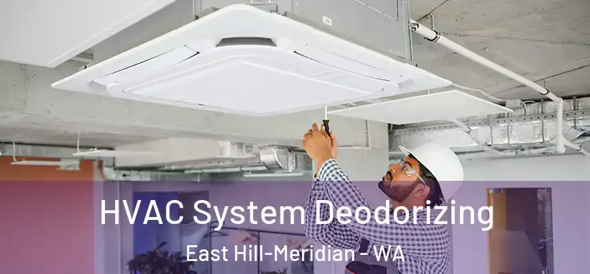  HVAC System Deodorizing East Hill-Meridian - WA