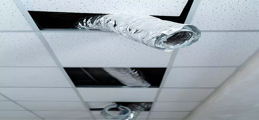 Affordable HVAC Sanitizing After Pest Removal in East Hill-Meridian