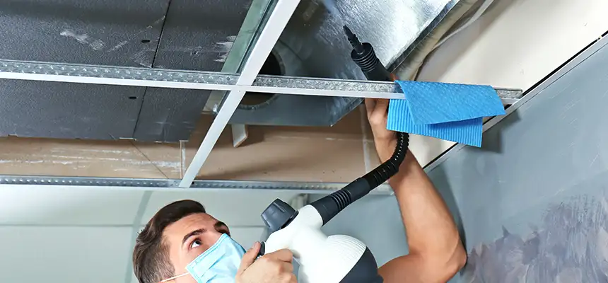 Our Air Duct Rodent Removal Services in East Hill-Meridian, WA