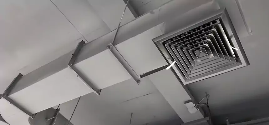 Restorative Allergy Relief Vent Cleaning – Coil, Blower & Housing Detail in East Hill-Meridian