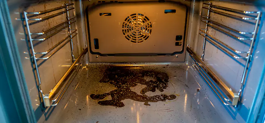 Our Dryer Vent Mold Cleaning Services in East Hill-Meridian, WA