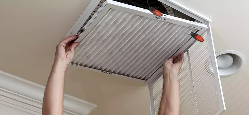 Our Insect Removal from Air Ducts Services in East Hill-Meridian, WA