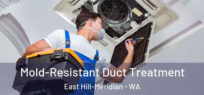 Mold-Resistant Duct Treatment East Hill-Meridian - WA