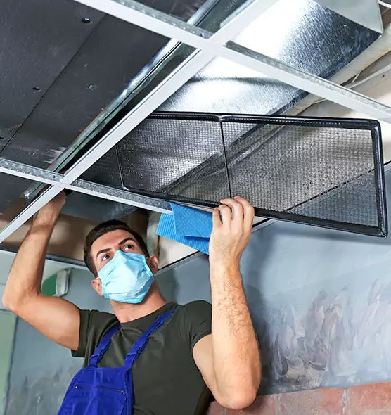 About Air Duct Bacteria Removal in East Hill-Meridian