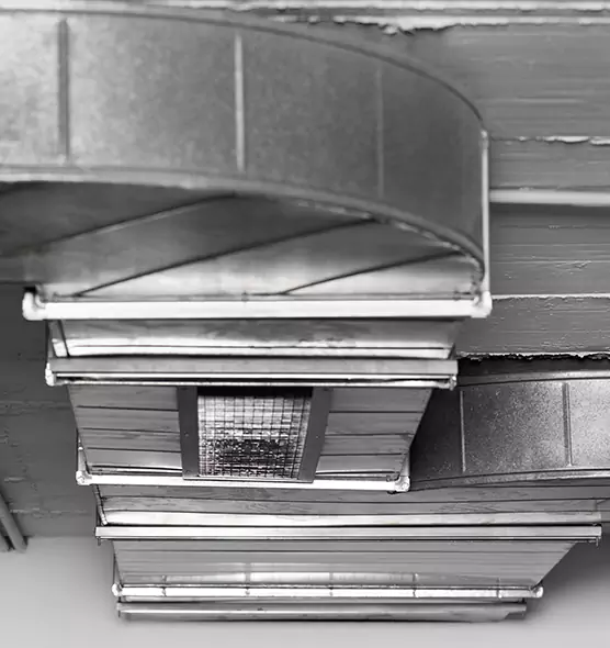 Professional Air Duct Pet Hair Removal in East Hill-Meridian, WA