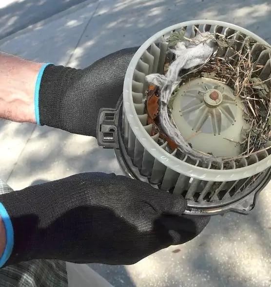 About Air Duct Rat Removal in East Hill-Meridian, WA