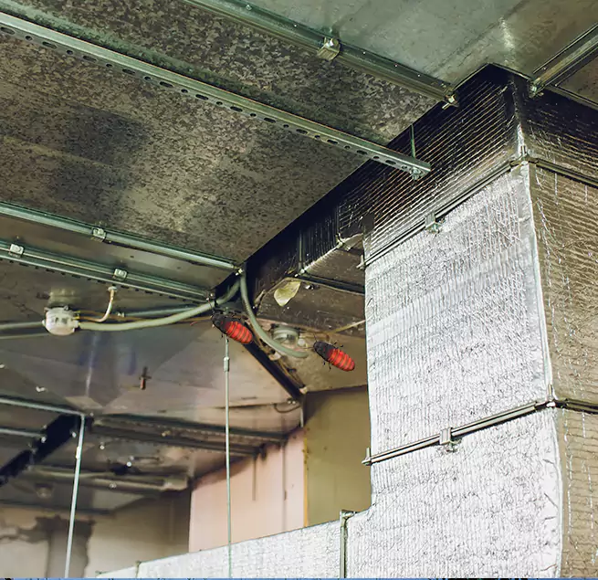 Why Homeowners & Businesses Trust Us East Hill-Meridian, WA?