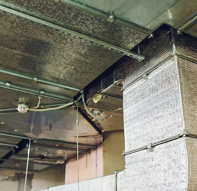 Why Homeowners & Businesses Trust Us in East Hill-Meridian, WA?